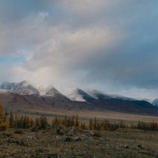 snowy mountains over slope with plants